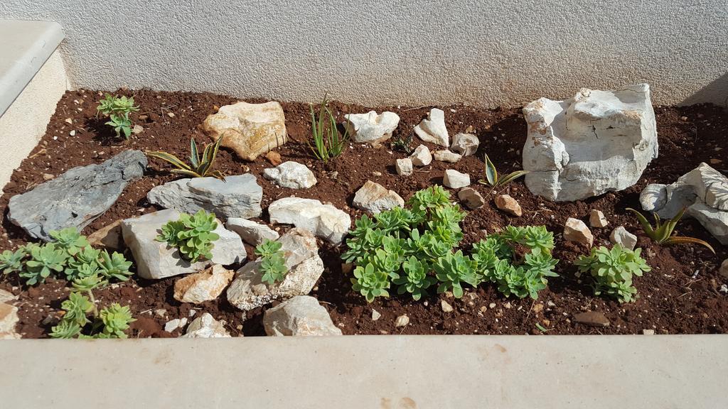 Apartmani Mariela Maslinica Dış mekan fotoğraf